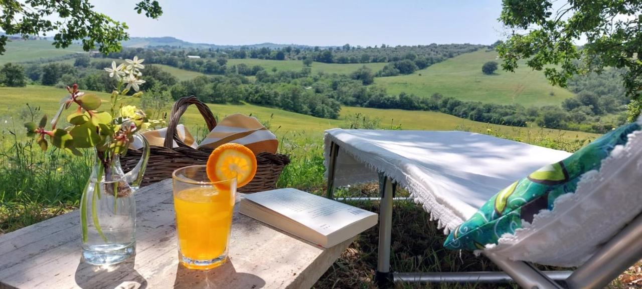 Agriturismo Podere Verdicchio สคานซาโน ภายนอก รูปภาพ